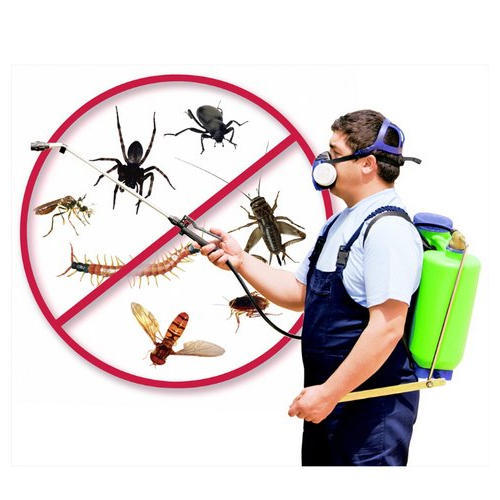 Dubai Pest Control & Extermination Services