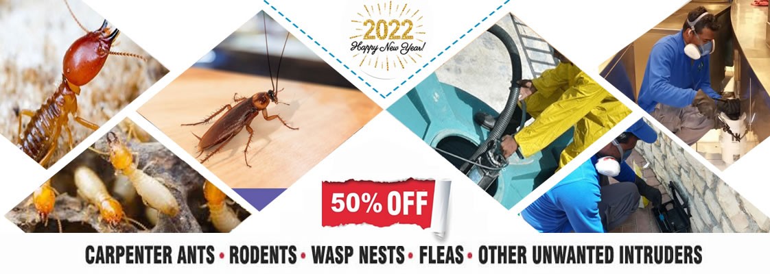 Happy New Year 2022 - Pest control | Get a Free Estimate
